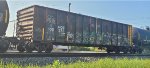 TFOX 100278